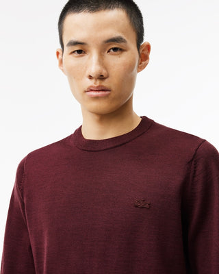 LACOSTE MEN'S PULLOVER AH1969 BZD