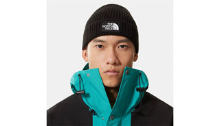 THE NORTH FACE M LOGO BPX CUFFED BEANIE NF0A3FJXJK3