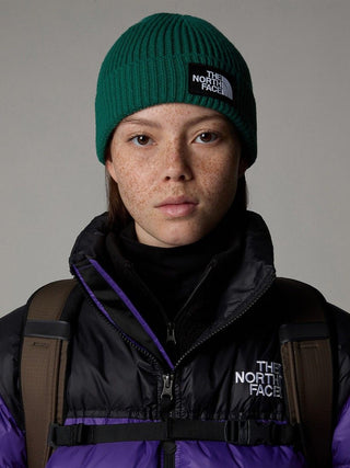 THE NORTH FACE LOGO BOX CUFFED BEANIE NF0A3FJXNL1