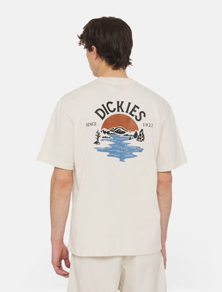 DICKIES T-SHIRT BEACH CON LOGO UOMO DK0A4YRDF901