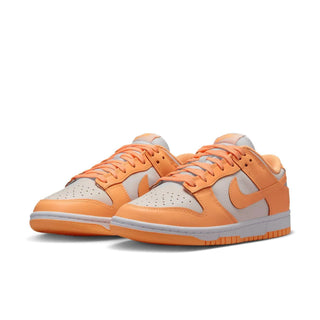 NIKE DUNK LOW DD1503 801