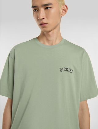 DICKIES T-SHIRT SNAKE MANICA CORTA CON STAMPA SU RETRO UOMO DK0A4Z99K361