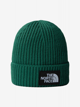 THE NORTH FACE LOGO BOX CUFFED BEANIE NF0A3FJXNL1