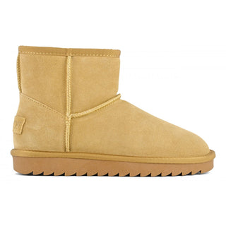 COLORS OF CALIFORNIA W UGG BOOT IN SUEDE YW001 CAM