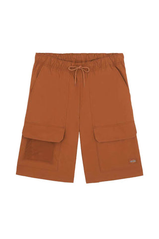 DICKIES BERMUDA CARGO FISHERSVILLE UOMO DK0A4YSIH161