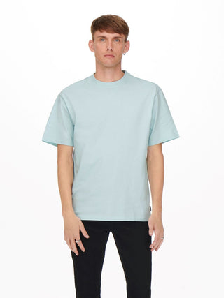 ONLY&amp;SONS FRED RELAX SS TEE 22022532.