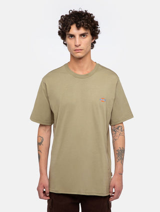 DICKIES SHORT SLEEVE T-SHIRT
 MAPLETON MAN DK0A4XDB0IP1