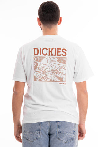 DICKIES MEN'S T-SHIRT SHORT SLEEVES PATRICK SPRINGS DK0A4YR7WHX1