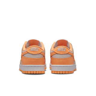 NIKE DUNK LOW DD1503 801