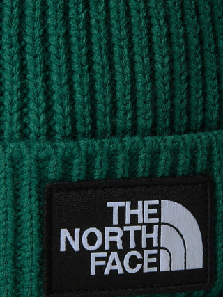 THE NORTH FACE LOGO BOX CUFFED BEANIE NF0A3FJXNL1