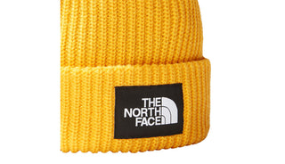 THE NORTH FACE CAPPELLO A COSTINE NF0A3FJW56P