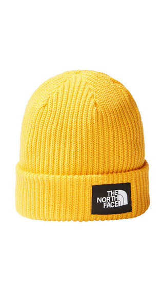 THE NORTH FACE CAPPELLO A COSTINE NF0A3FJW56P