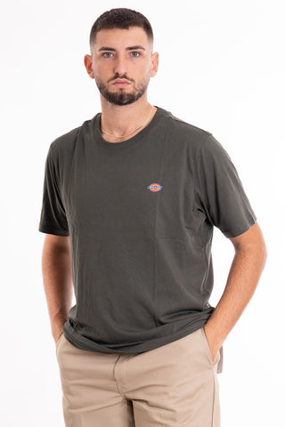 DICKIES M SS MAPLETON T-SHIRT DK0A4XDBOGX1