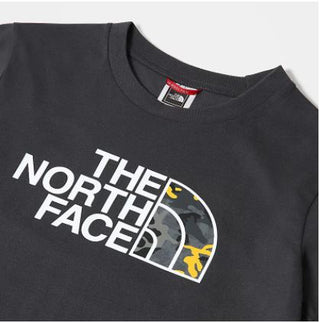 THE NORTH FACE T-SHIRT* Children and teenagers NF00A3P7364