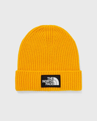 THE NORTH FACE M LOGO BOX CUFFED BEANIE NF0A3FJX56P1