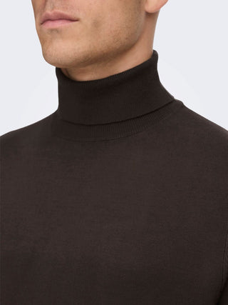 ONLY&SONS M WYLER LIFE REG ROLL NECK 22020879