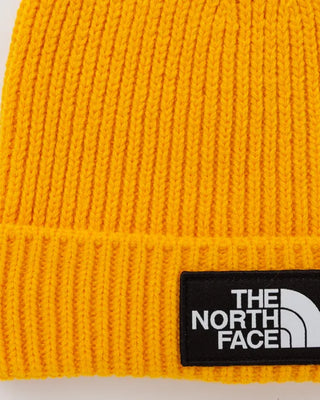 THE NORTH FACE M LOGO BOX CUFFED BEANIE NF0A3FJX56P1